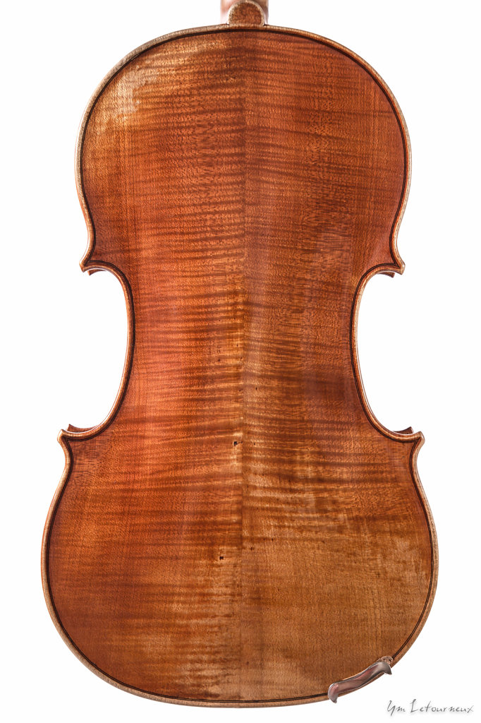 Viola-2009-back.jpg